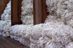Tasmanian non mulesed ultrafine merino wool