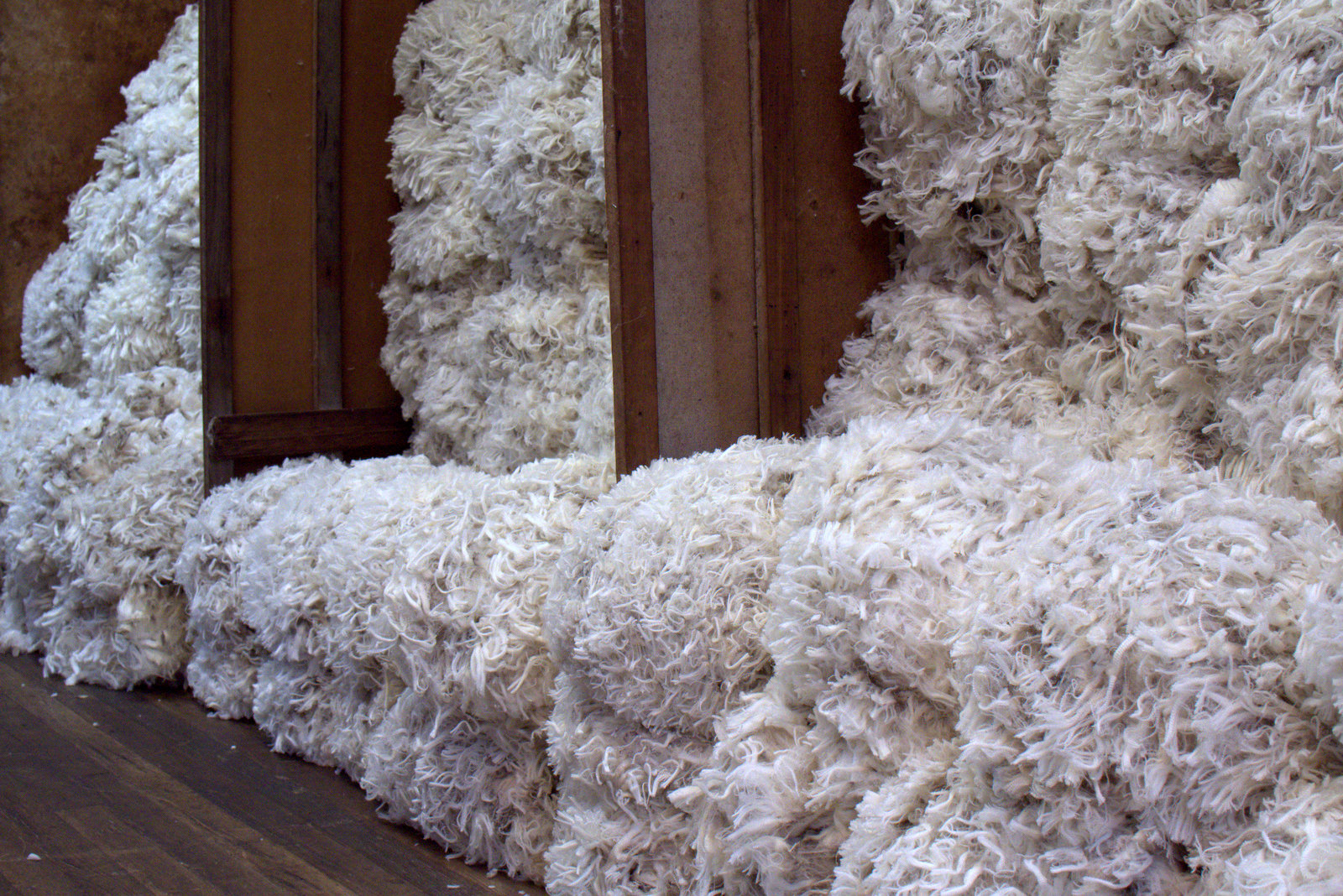 Tasmanian Superfine Merino Fleece, Wool |