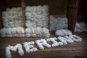 Austalian Wool, Superfine Fleece